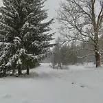 Straznica Pod Lasem