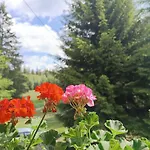 Straznica Pod Lasem