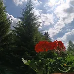 Straznica Pod Lasem * Lasowka