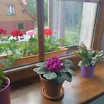 Apartment Straznica Pod Lasem