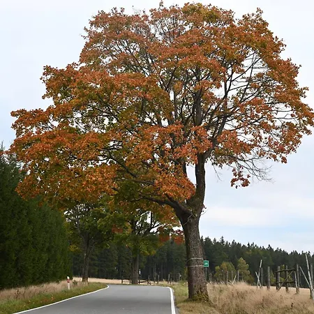 公寓 Straznica Pod Lasem