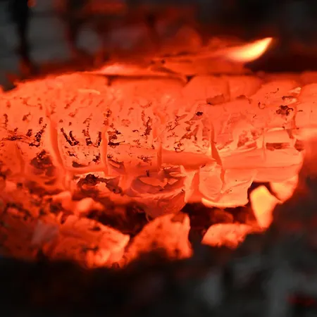 Straznica Pod Lasem 公寓 Lasowka