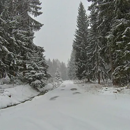 Straznica Pod Lasem