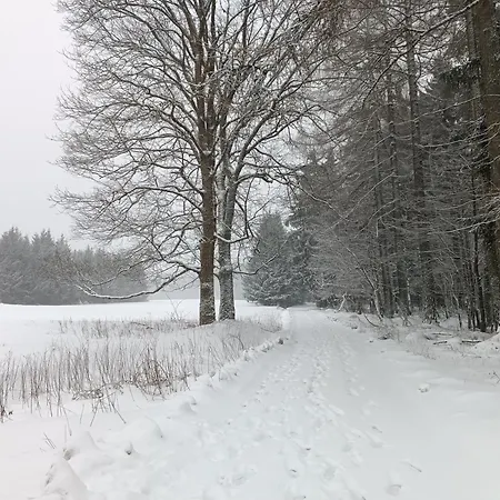 Straznica Pod Lasem 公寓