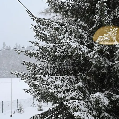 Straznica Pod Lasem Apartment *