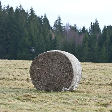 Straznica Pod Lasem شقة