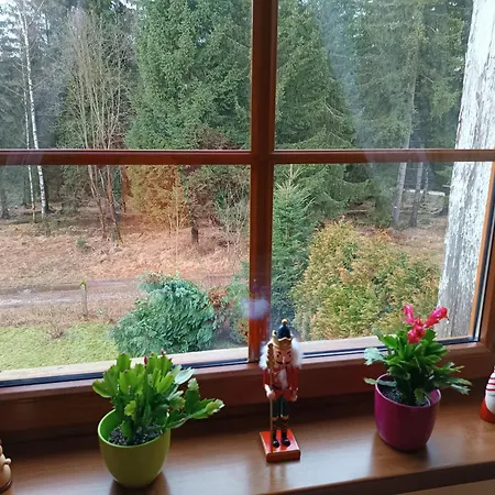 Straznica Pod Lasem Apartment