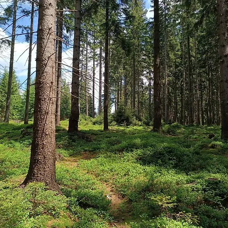 Straznica Pod Lasem Lasowka