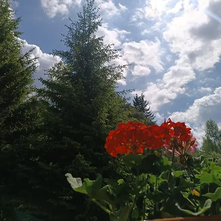 Straznica Pod Lasem * Lasowka