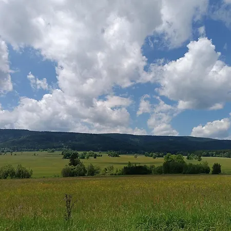 Straznica Pod Lasem