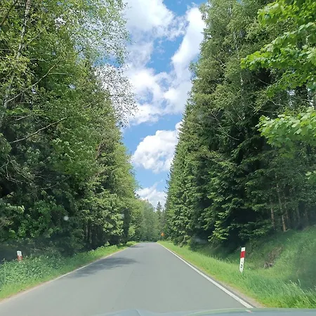 Straznica Pod Lasem 公寓 *