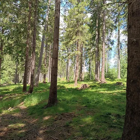 Straznica Pod Lasem *