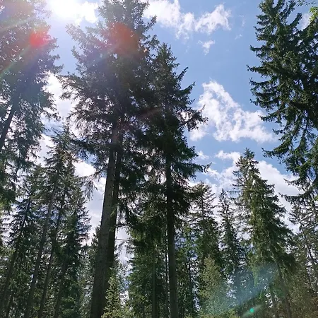 Straznica Pod Lasem