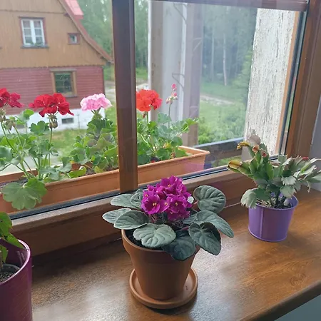 Apartment Straznica Pod Lasem