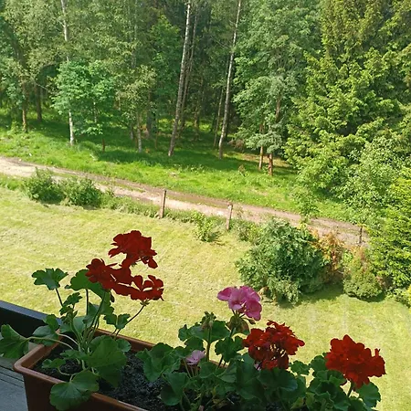 Straznica Pod Lasem *