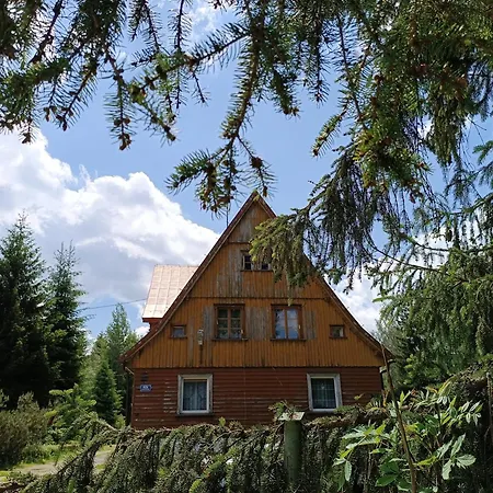 公寓 Straznica Pod Lasem