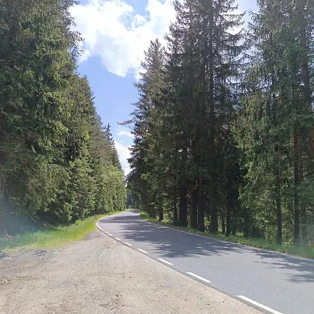 公寓 Straznica Pod Lasem *