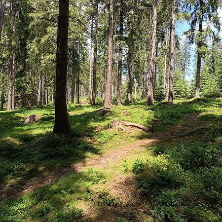 Straznica Pod Lasem * Lasowka