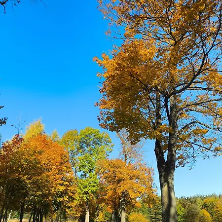 Straznica Pod Lasem 公寓