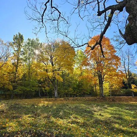 公寓 Straznica Pod Lasem Lasowka