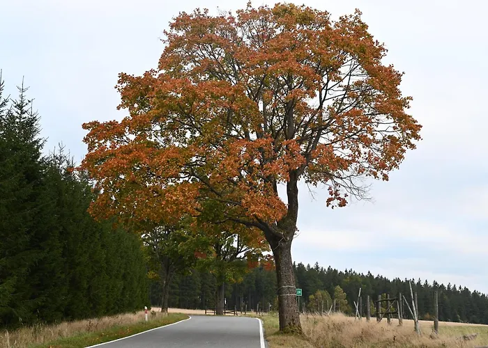 公寓 Straznica Pod Lasem