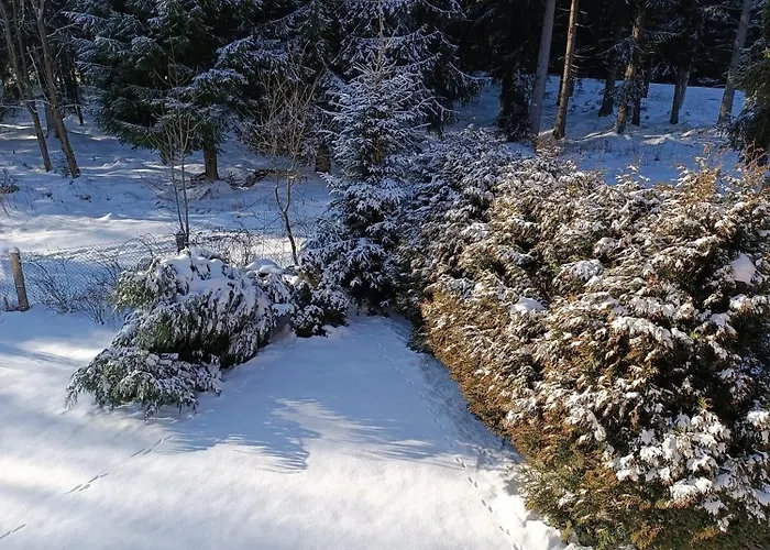Straznica Pod Lasem Lasowka