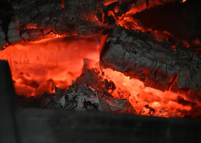 Straznica Pod Lasem 公寓 *