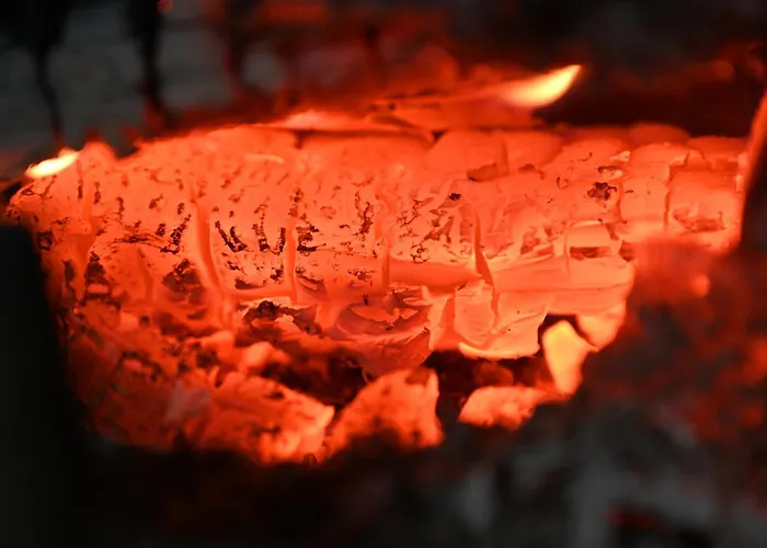 Straznica Pod Lasem Apartment Lasowka