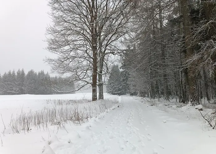 Straznica Pod Lasem 公寓