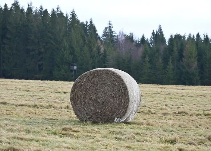 Straznica Pod Lasem 公寓