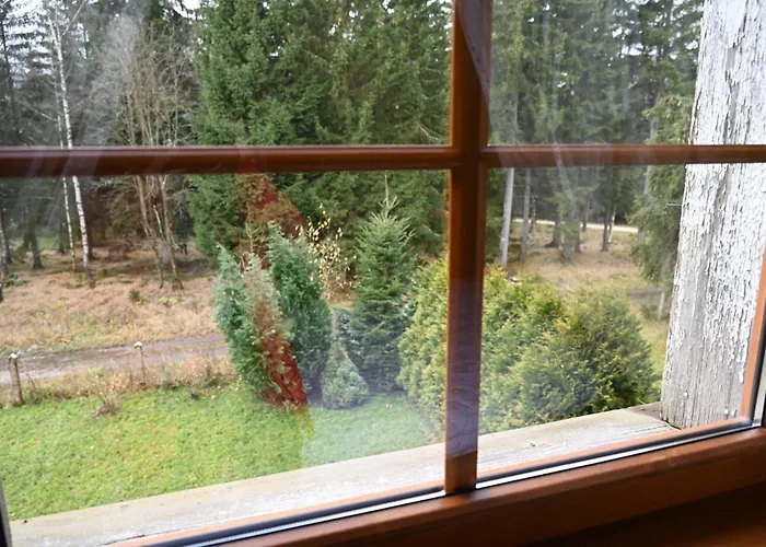 Straznica Pod Lasem 公寓 *