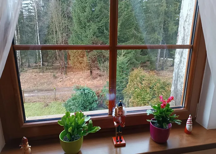 Straznica Pod Lasem Apartment