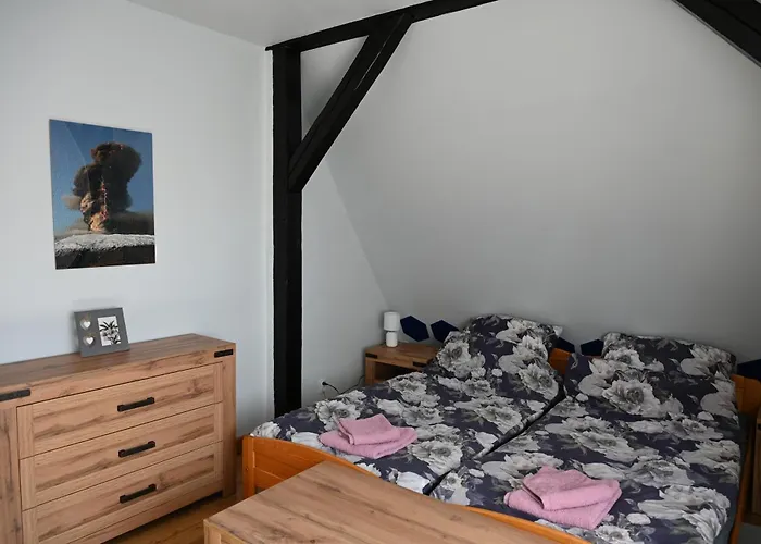 Straznica Pod Lasem 公寓 *