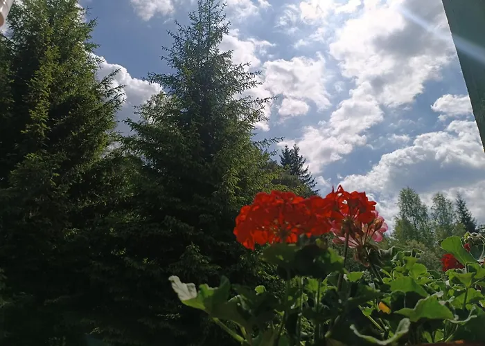 Straznica Pod Lasem * Lasowka