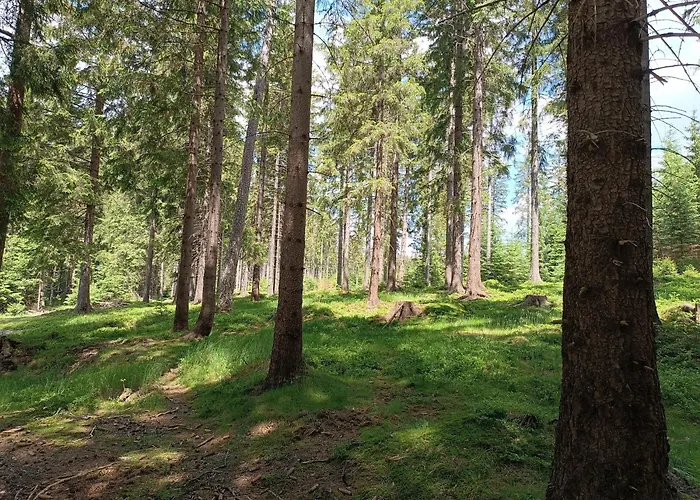 Straznica Pod Lasem *