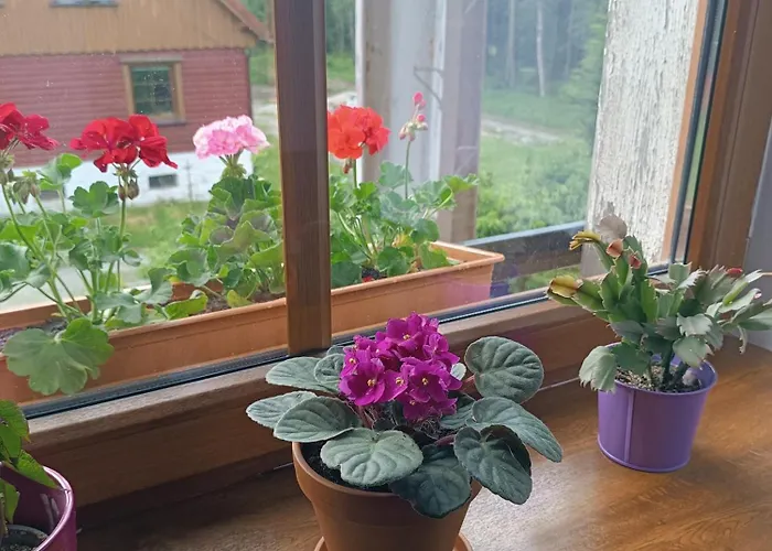 Apartment Straznica Pod Lasem