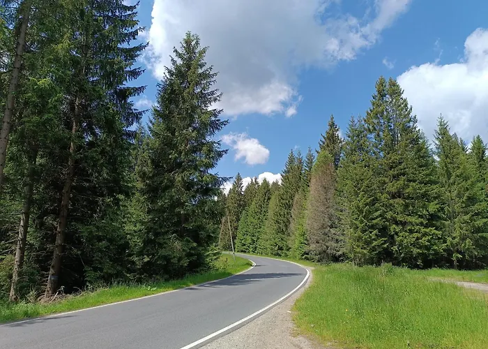 Straznica Pod Lasem Apartment