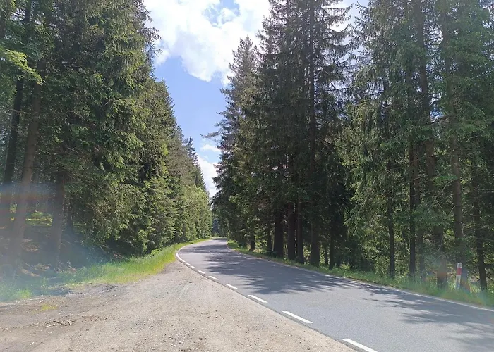 Apartment Straznica Pod Lasem *