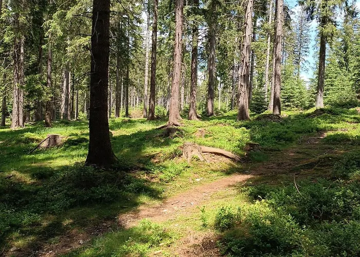 Straznica Pod Lasem * Lasowka