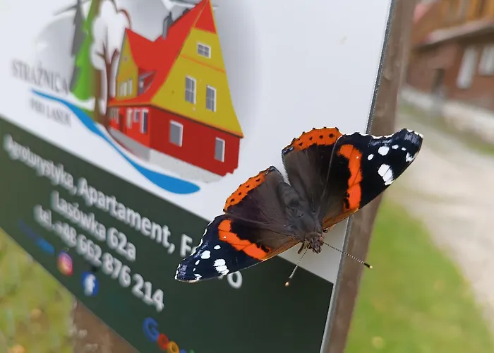 Straznica Pod Lasem 公寓 Lasowka