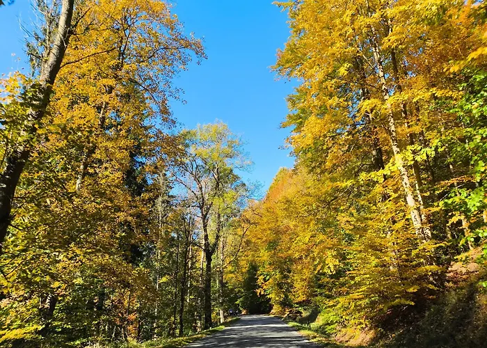 Straznica Pod Lasem * Lasowka
