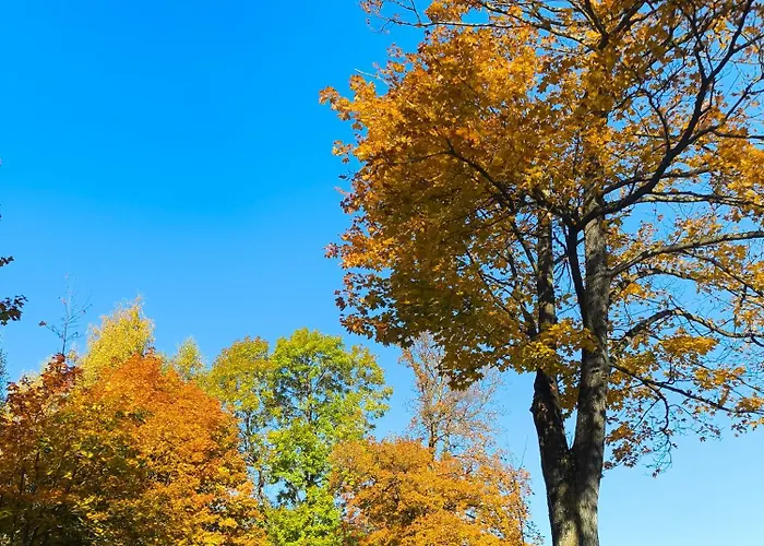 Straznica Pod Lasem Apartment