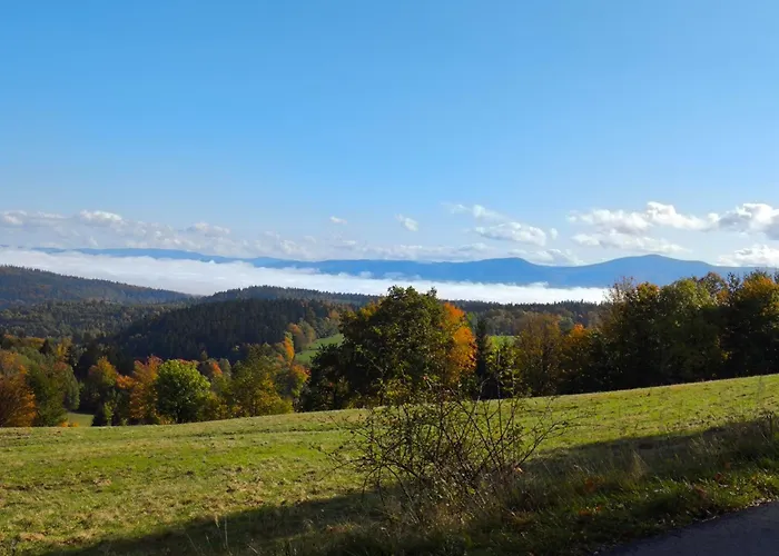 Apartment Straznica Pod Lasem *