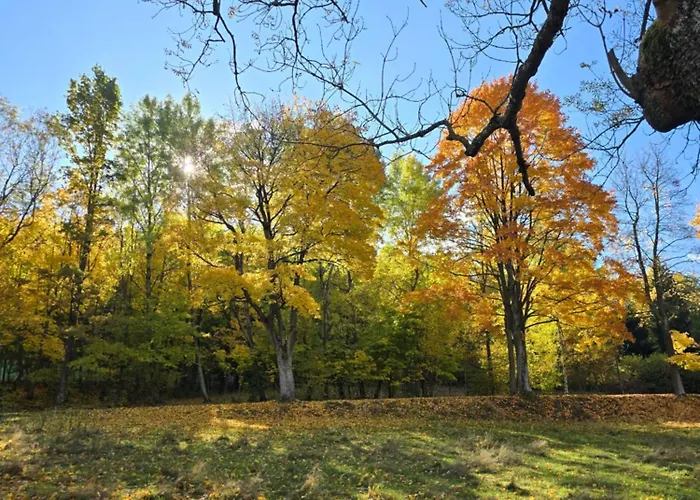 Apartment Straznica Pod Lasem Lasowka